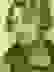 item-54533657=4
