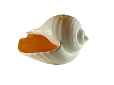 Wedgwood Nautilus Shell