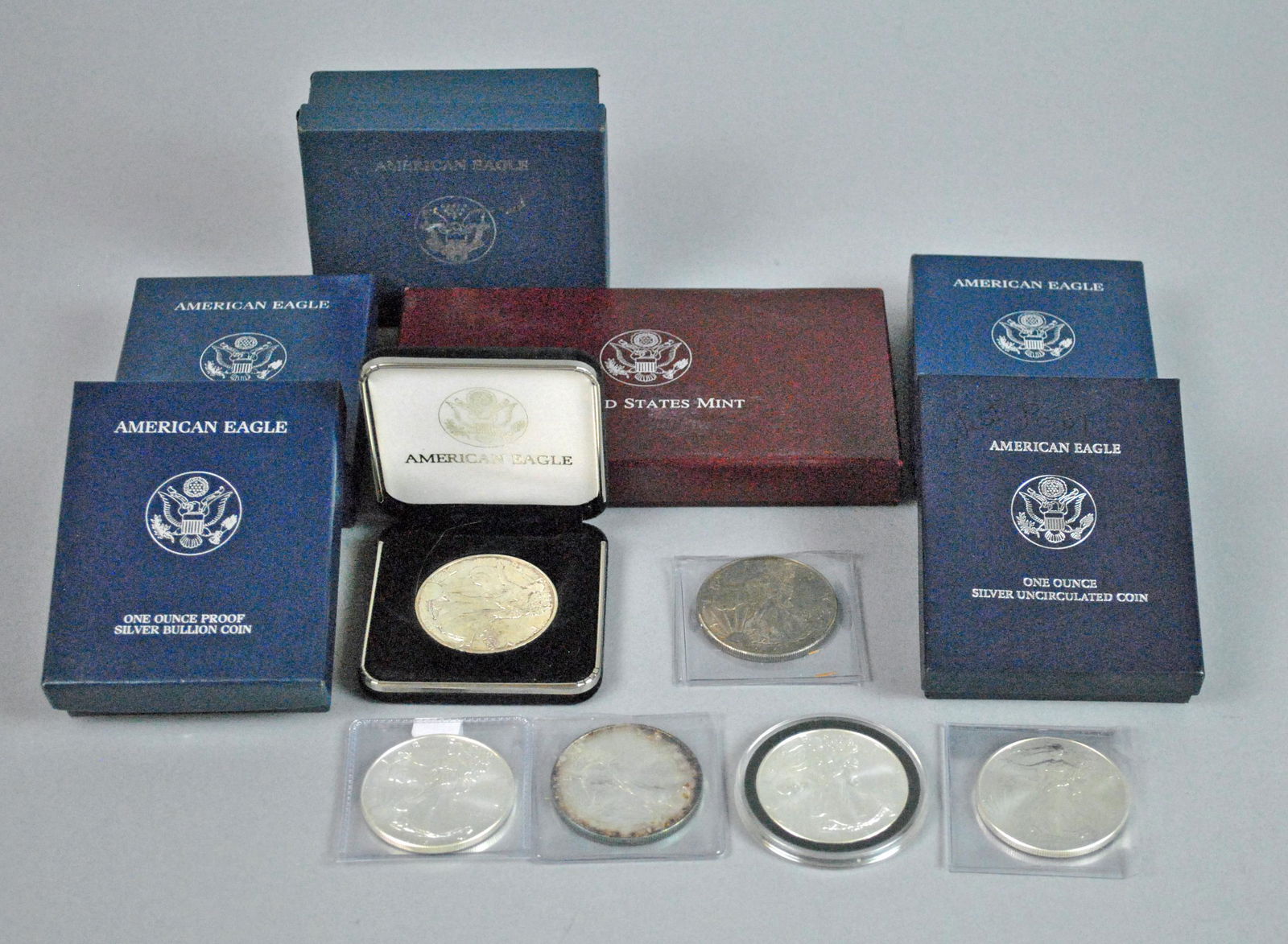 (13) US $1 AMERICAN EAGLE SILVER COINS (1 of 1)