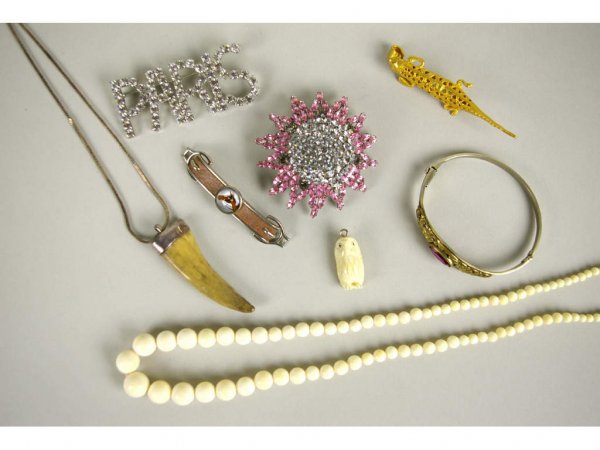 8-PIECE COSTUME JEWELRY GROUP: including ivory beads, an Edwardian bangle with purple stone, an Austrian crystal sunburst brooch, a horse pin, an ivory or bone horn pendant on sterling chain, a lizard pin/pendant, etc. The Knoop Co