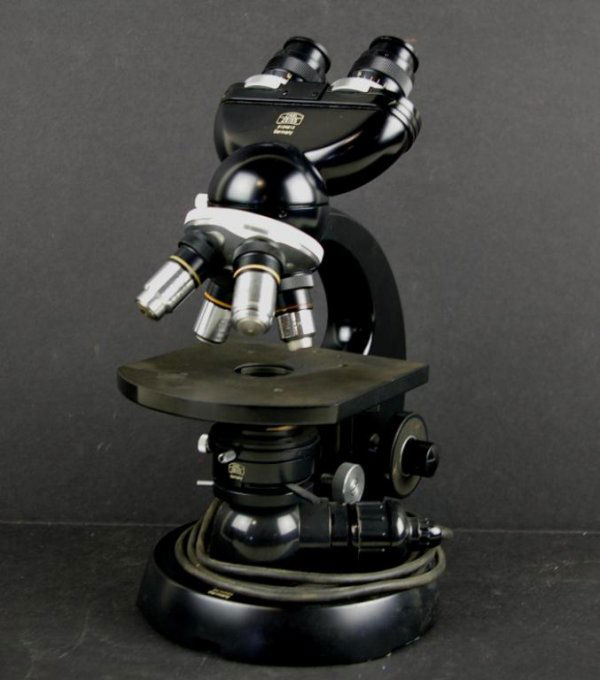 CARL ZEISS BINOCULAR MICROSCOPE: marked "Carl Zeiss / 2124813", base marked "Carl Zeiss / 2070586 / Germany", 12in.