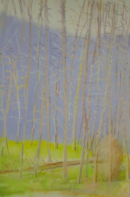 WOLF KAHN (New York / Vermont, b.1927) "The Fallen P: WOLF KAHN (New York / Vermont, b.1927) "The Fallen Pine", mixed media on paper, signed lower center, 30x22in. Note: This artwork has been in the consignor's attic for 40 years. Believes he purchased i