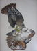 11: SEVEN AUDUBON BIRDS OF PREY OCTAVO LITHOGRAPHS - 3
