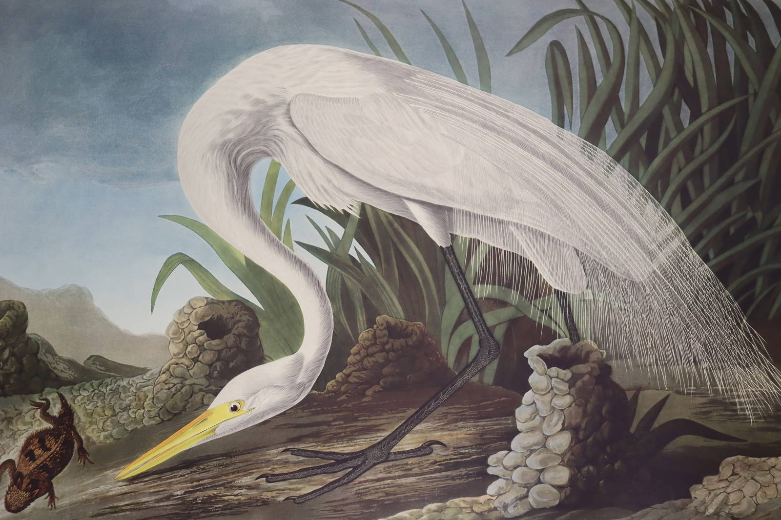 Birds Of America 2 Portfolios After Jj Audubon Auction