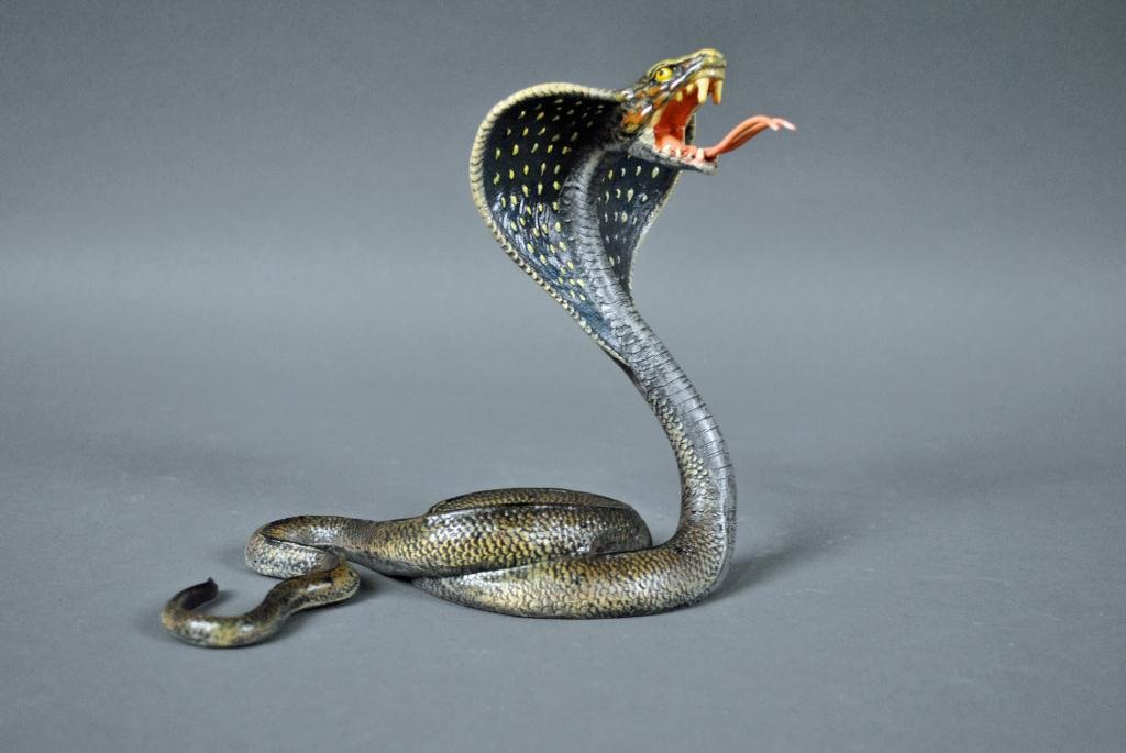 COLD PAINTED BRONZE COBRA ATT. TO FRANZ BERGMAN: (Austrian, 1898-1963), illegible stamp mark to bottom, 6in.