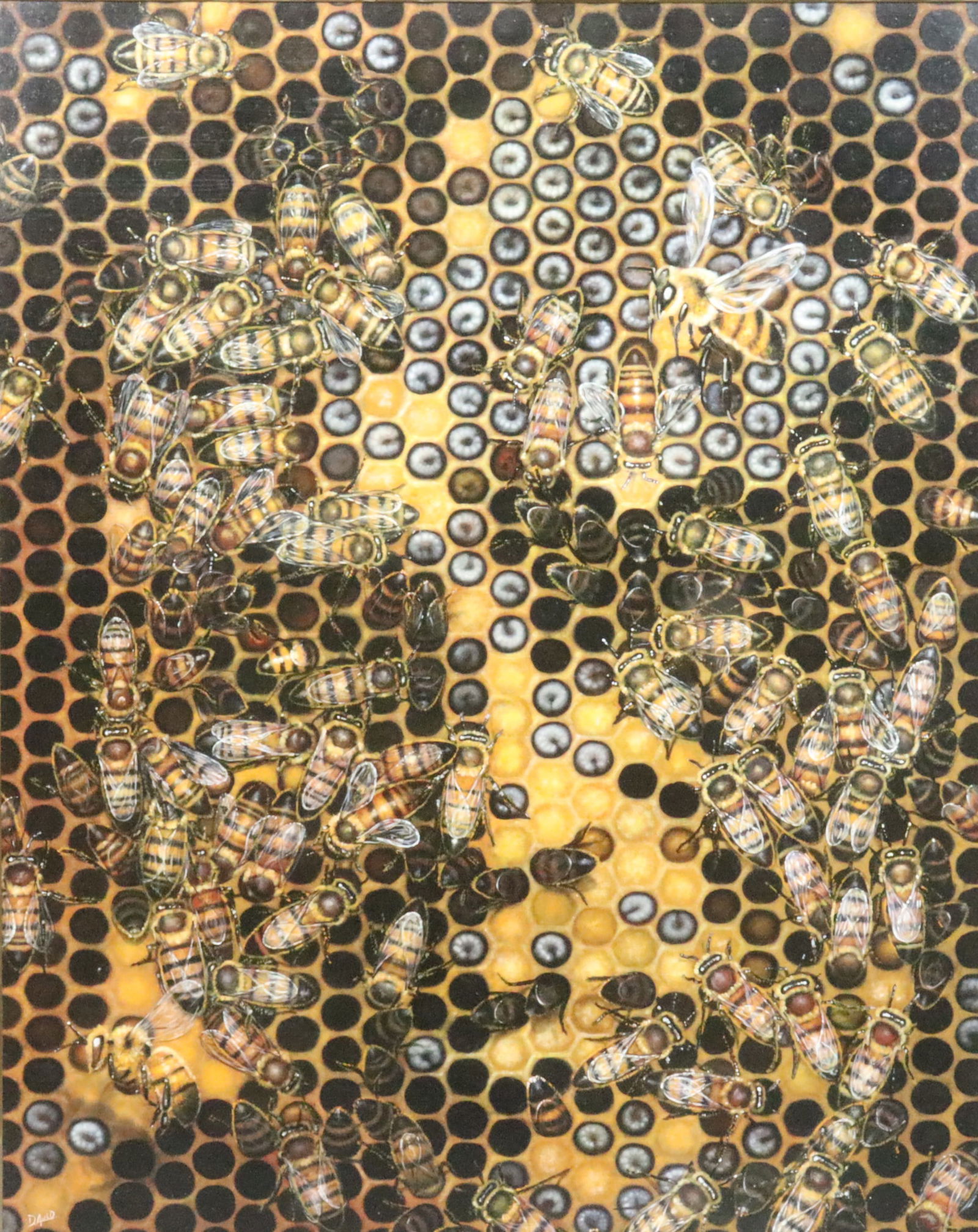 DOUG AULD (New Jersey, 20thC.) (1 of 5)