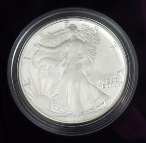 (11) AMERICAN SILVER EAGLE ONE OUNCE PROOF COINS