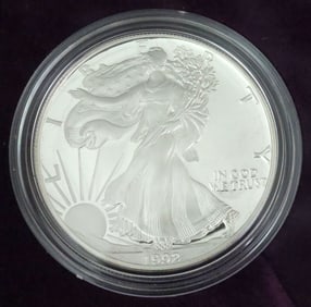 (11) AMERICAN SILVER EAGLE ONE OUNCE PROOF COINS