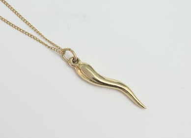 14K ITALIAN HORN PENDANT ON CHAIN