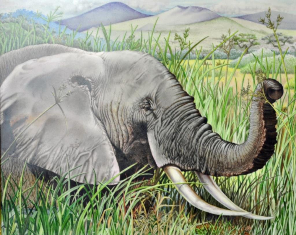 BOEHM PORCELAIN PLAQUE - ELEPHANT'S HEAD: signed Boehm, verso marked "Boehm Porcelain / Edward Marshall Boehm / Limited / Elephant's Head / Made in USA / 600-22 / Number 3 1977", 11x14in.