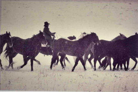 BANK LANGMORE (American, b.1935): 3 framed color photographs, one pencil signed on mat and titled Binion Ranch Jordan, Montana ( loss/defect left center under horse), the others unsigned, largest 16x24in.