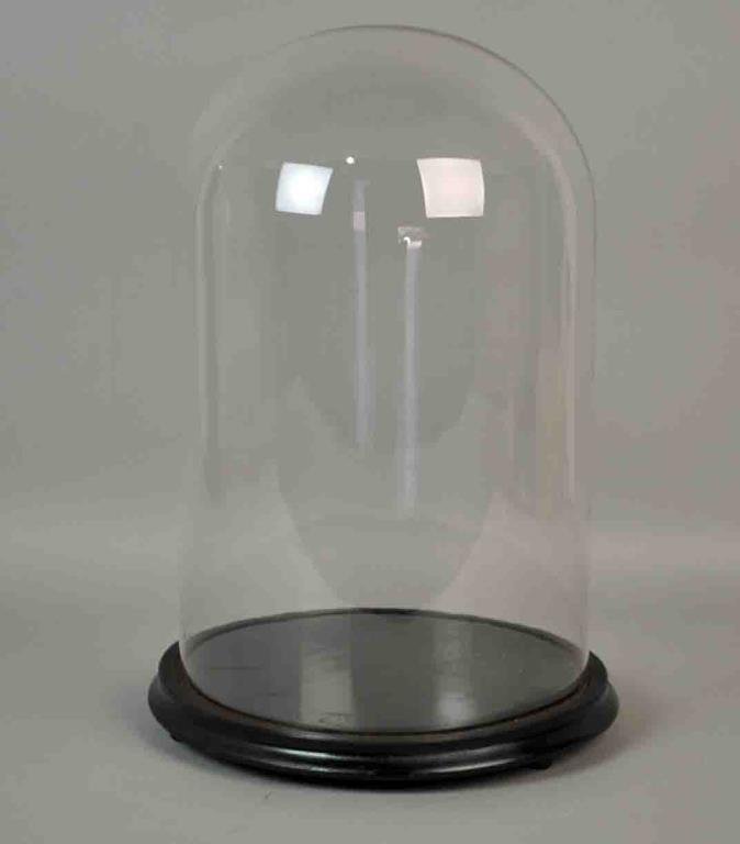 BLOWN GLASS DOME ON WOOD BASE (1 of 1)