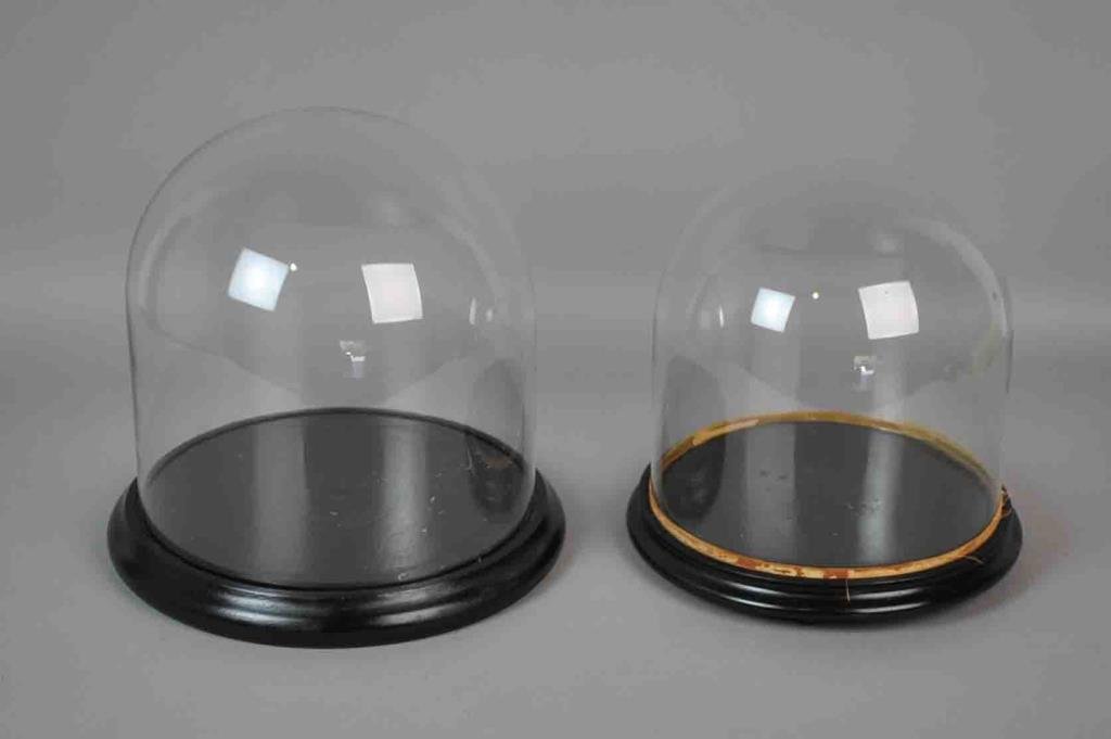 (2) BLOWN GLASS DOMES ON WOOD BASES (1 of 1)