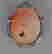 item-43899772=2