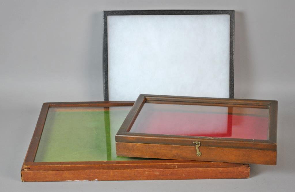 (2) DISPLAY CASES AND A BUTTERFLY BOX (1 of 3)