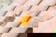 item-209080024=4
