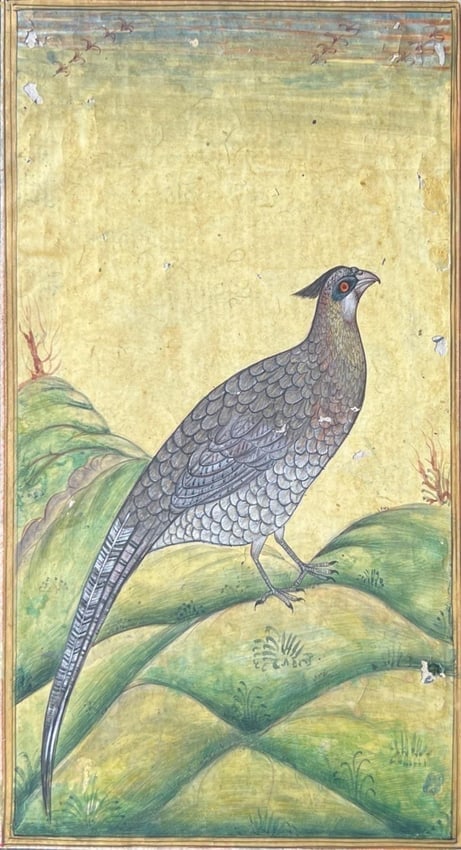 IMPERIAL BIRD STUDY - MUGHAL MINIATURE PAINTING 6 X 10 IN (1 of 1)