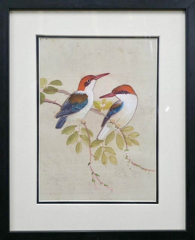 JOHN GOULD BIRD ILLUSTRATION STYLE - HAND-COLOURED LITHOGRAPH ON PAPER, CIRCA MID-19TH CENTURY: THIS EXQUISITE HAND-COLOURED LITHOGRAPH DEPICTS A PAIR OF KINGFISHERS, EXECUTED IN THE STYLE OF THE RENOWNED ORNITHOLOGIST AND ARTIST JOHN GOULD. THE DETAILED RENDERING AND VIBRANT PIGMENTS EXEMPLIFY