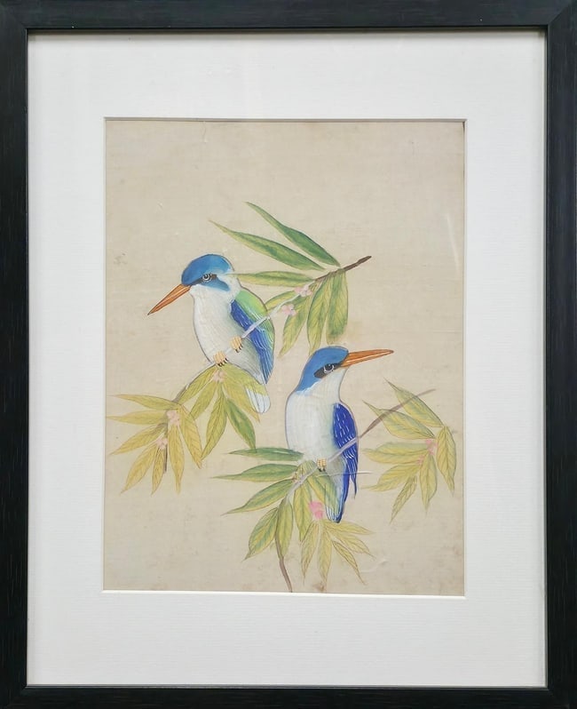 JOHN GOULD STYLE BIRD ILLUSTRATION (PAIR OF KINGFISHERS): A FINE HAND-COLOURED LITHOGRAPH IN THE STYLE OF JOHN GOULD'S ORNITHOLOGICAL SERIES, FEATURING A PAIR OF KINGFISHERS PERCHED AMONG PINE-LIKE FOLIAGE. THE ARTWORK IS LIKELY PRINTED ON AGED RICE PAPER OR