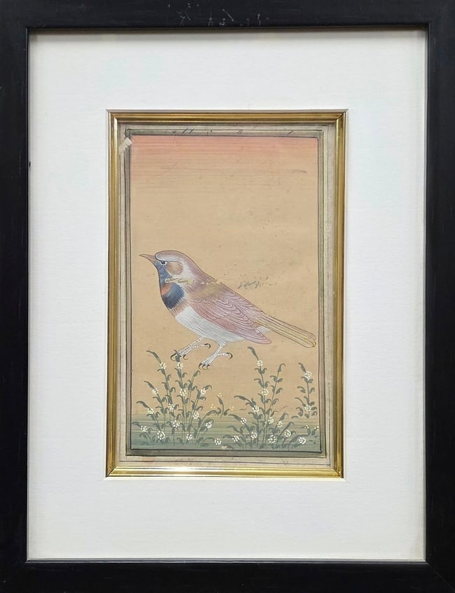 RARE MUGHAL-ERA STYLE BIRD PAINTING ON WASLI - IN THE MANNER OF JOHN GOULD: A FINELY DETAILED HAND-PAINTED BIRD STUDY, REMINISCENT OF THE NATURALISTIC ORNITHOLOGICAL STYLE POPULARIZED BY JOHN GOULD IN THE 19TH CENTURY. THIS ARTWORK, THOUGH STYLISTICALLY ALIGNED WITH GOULD'S