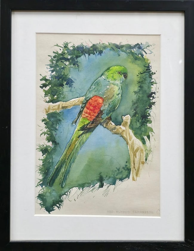 HAND-COLOURED LITHOGRAPH FROM THE JOHN GOULD BIRD SERIES - -HAHN-S MACAW- - CIRCA: THIS EXQUISITE LITHOGRAPH FEATURES A VIBRANT DEPICTION OF A HAHN-S MACAW, EXECUTED IN THE STYLE OF THE RENOWNED ORNITHOLOGIST AND ILLUSTRATOR JOHN GOULD (1804-1881), WHO WAS FAMOUS FOR HIS MONUMENTAL