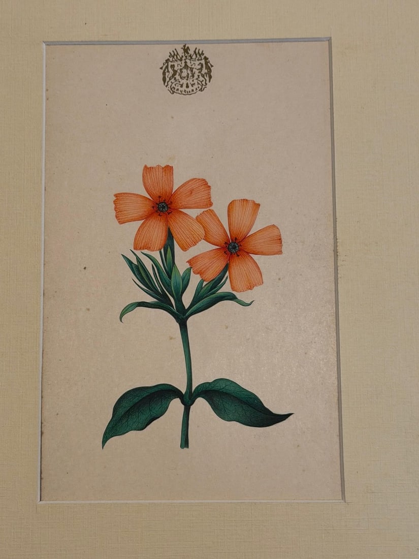 SET OF FOUR COMPANY SCHOOL BOTANICAL WATERCOLOURS WITH ROYAL CREST, 19TH CENTURY - 2