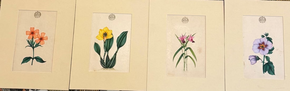 SET OF FOUR COMPANY SCHOOL BOTANICAL WATERCOLOURS WITH ROYAL CREST, 19TH CENTURY - 3