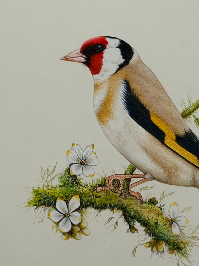 A WATERCOLOR ENGLISH SCHOOL STUDY OF A GOLDFINCH ON A FLOWERING BRANCH, 19TH CENTURY - 2