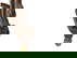 item-210459486=12