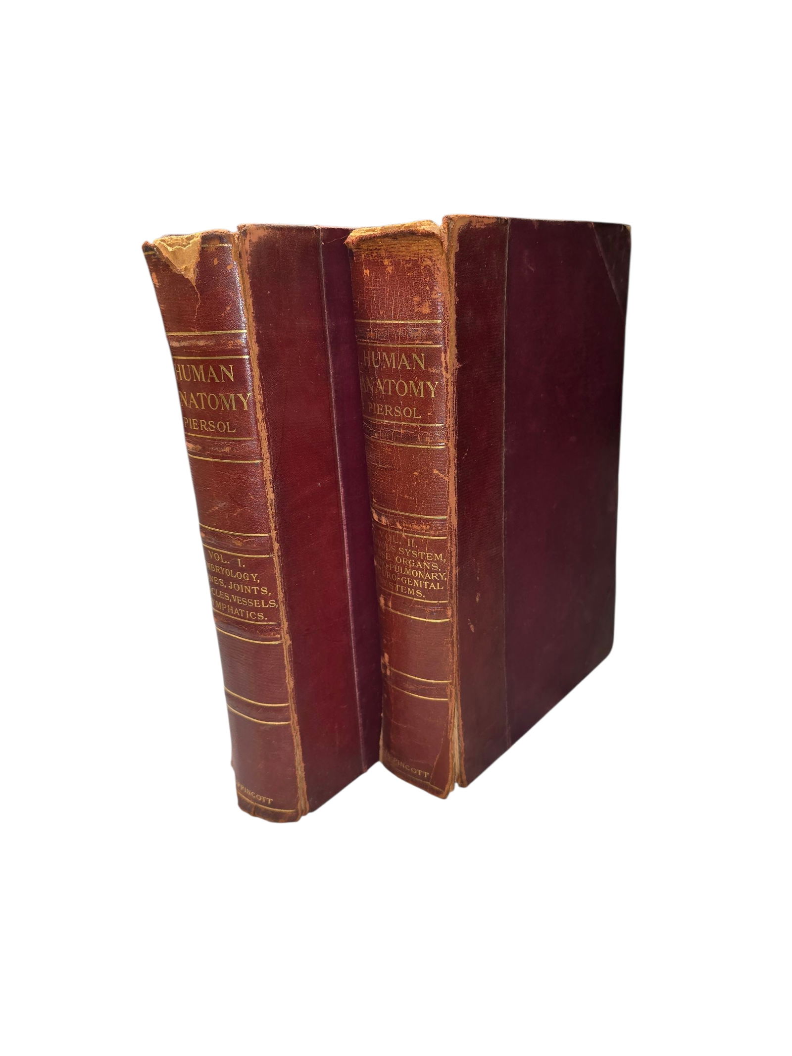 Human Anatomy: Including Structure and Development and Practical Considerations. Third Edition.: Two Volumes. Philadelphia & London: J.B. Lippincott Company, [1911]. Volume I: Covers osteology, joints, blood vessels, and lymphatics.Volume II: Covers visceral systems, organs, pulmonary, genital sy