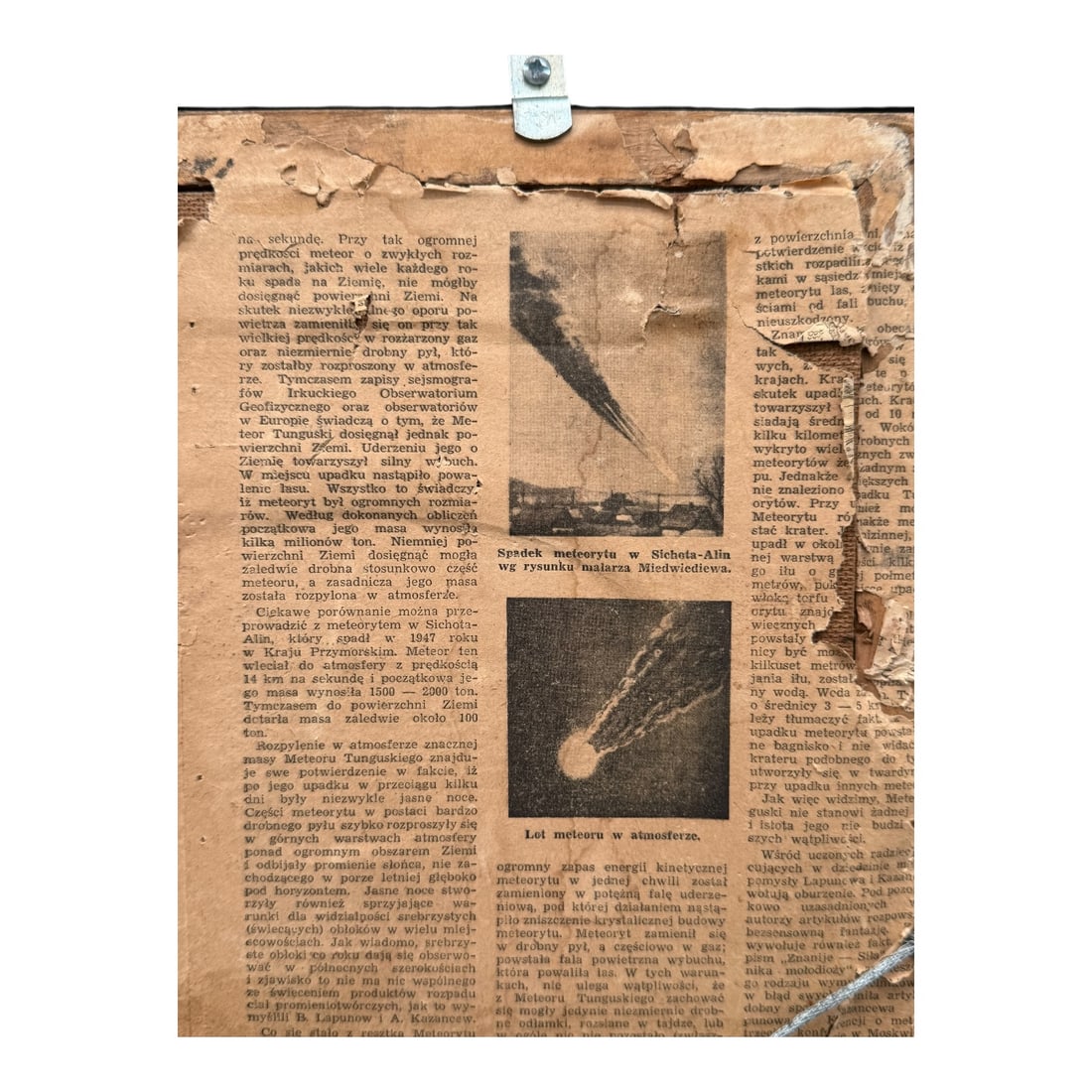 Stanislaw Ignacy Witkiewicz (Witkacy) - Expressionist Portrait - 10