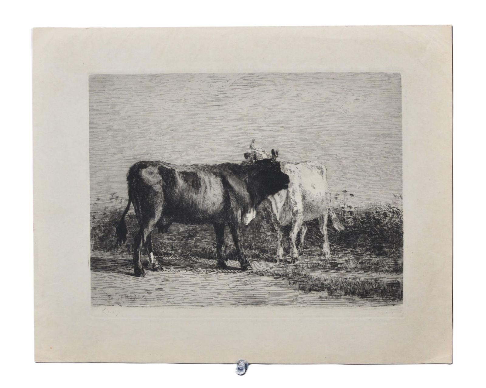 William Merritt Chase (American, 1849 – 1916) Constantine Troyon's "Cattle" Etching (1 of 4)
