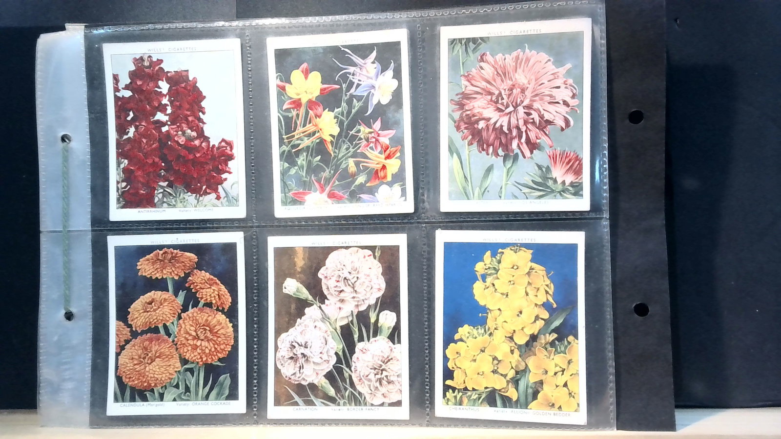 Garden Flowers new Varieties Wills large format complete set Tobacco cards: 40 card original uncommon with some wear complete set. In good to very good condition Many Original Early Tobacco cards sets available. Usually with normal wear. Some have blemishes some have very lit