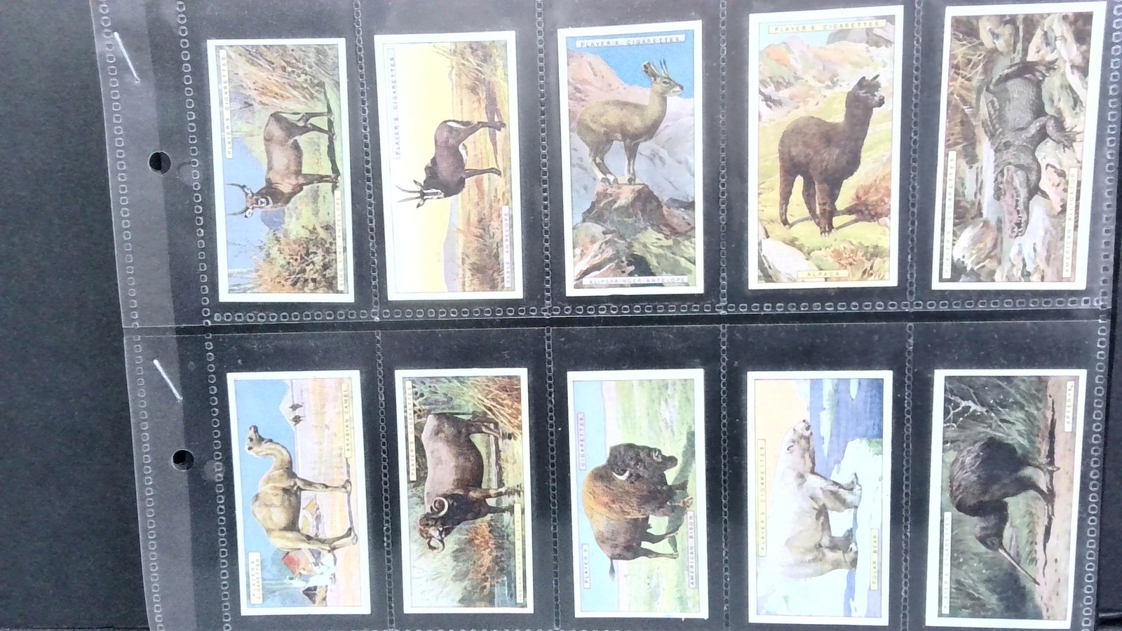 Tobacco cards set 1924 John Players Natural History "A" Series: 50 cards complete set, Complete Original Tobacco cards set well preserved in tobacco cards top load protector plastic sheet sleeves. Items being added daily to our current auction. Please continue to 
