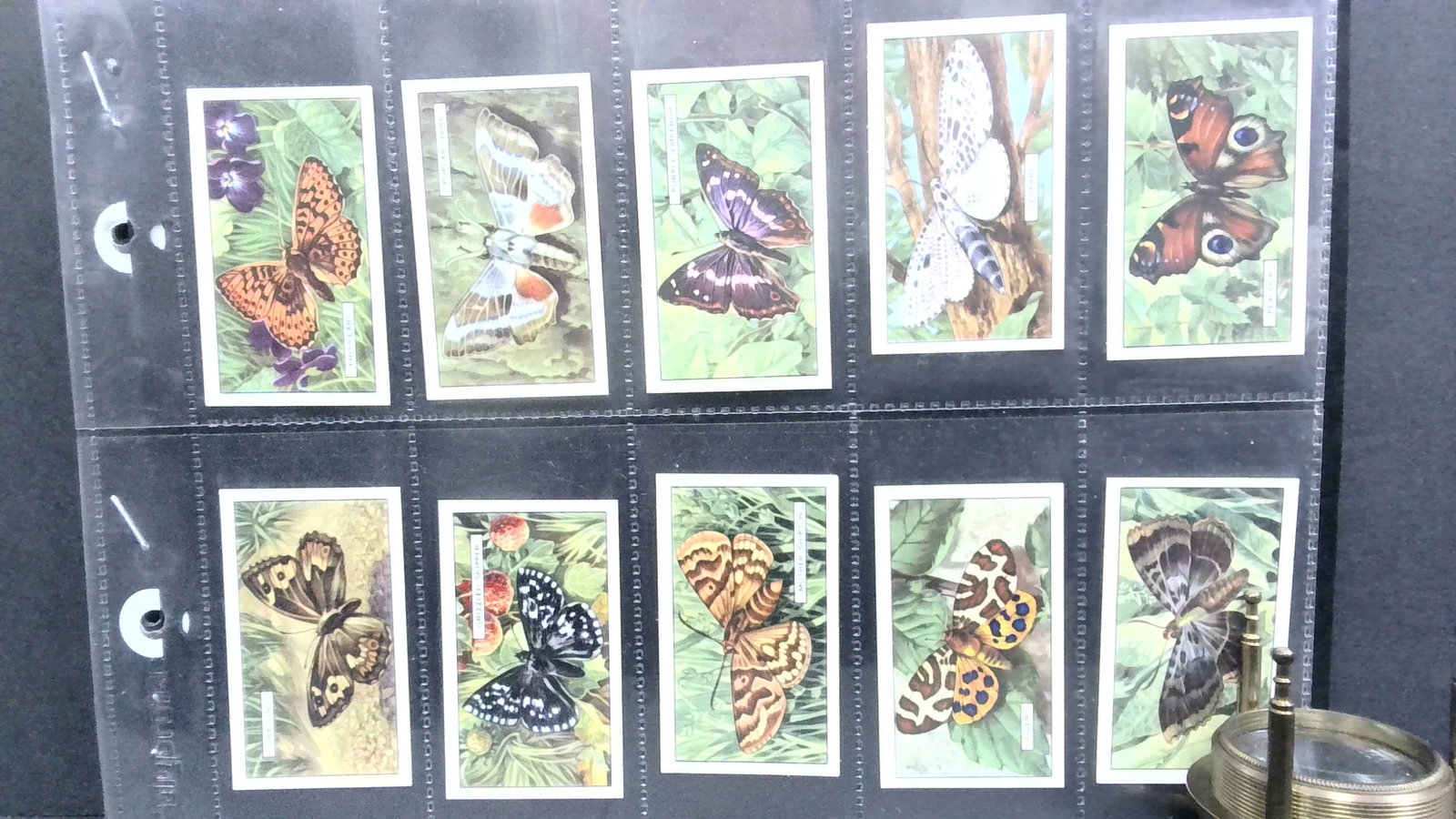 Tobacco cards set 1938 Butterflies and Moths by Gallaher: 48 cards complete set, Complete Original Tobacco cards set well preserved in tobacco cards top load protector plastic sheet sleeves. Items being added daily to our current auction. Please continue to 