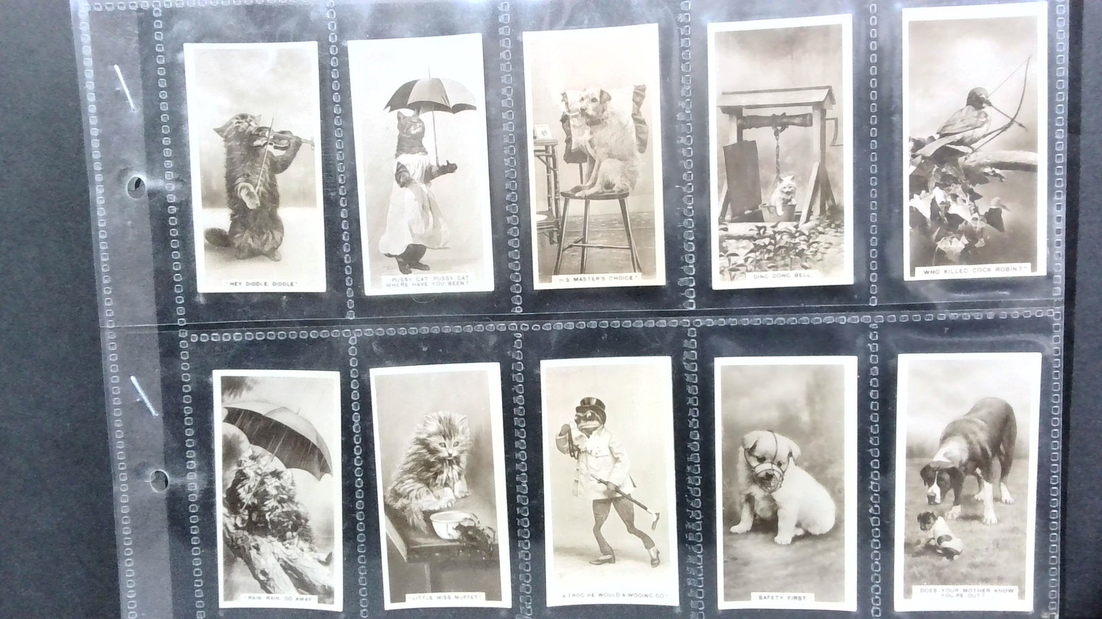Tobacco cards set 1933 De Reszke milhoff 5th Series Dogs Cats Real photo: 27 Real photo cards complete set, Complete Original Tobacco cards set well preserved in tobacco cards top load protector plastic sheet sleeves. Items being added daily to our current auction. Please c