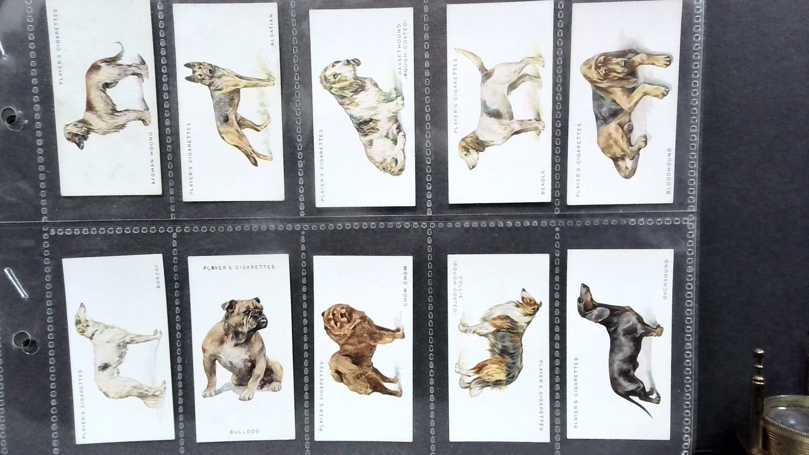 Tobacco cards set 1931 John Player Dogs "A" Series: 25 cards complete set, Complete Original Tobacco cards set well preserved in tobacco cards top load protector plastic sheet sleeves. Items being added daily to our current auction. Please continue to 