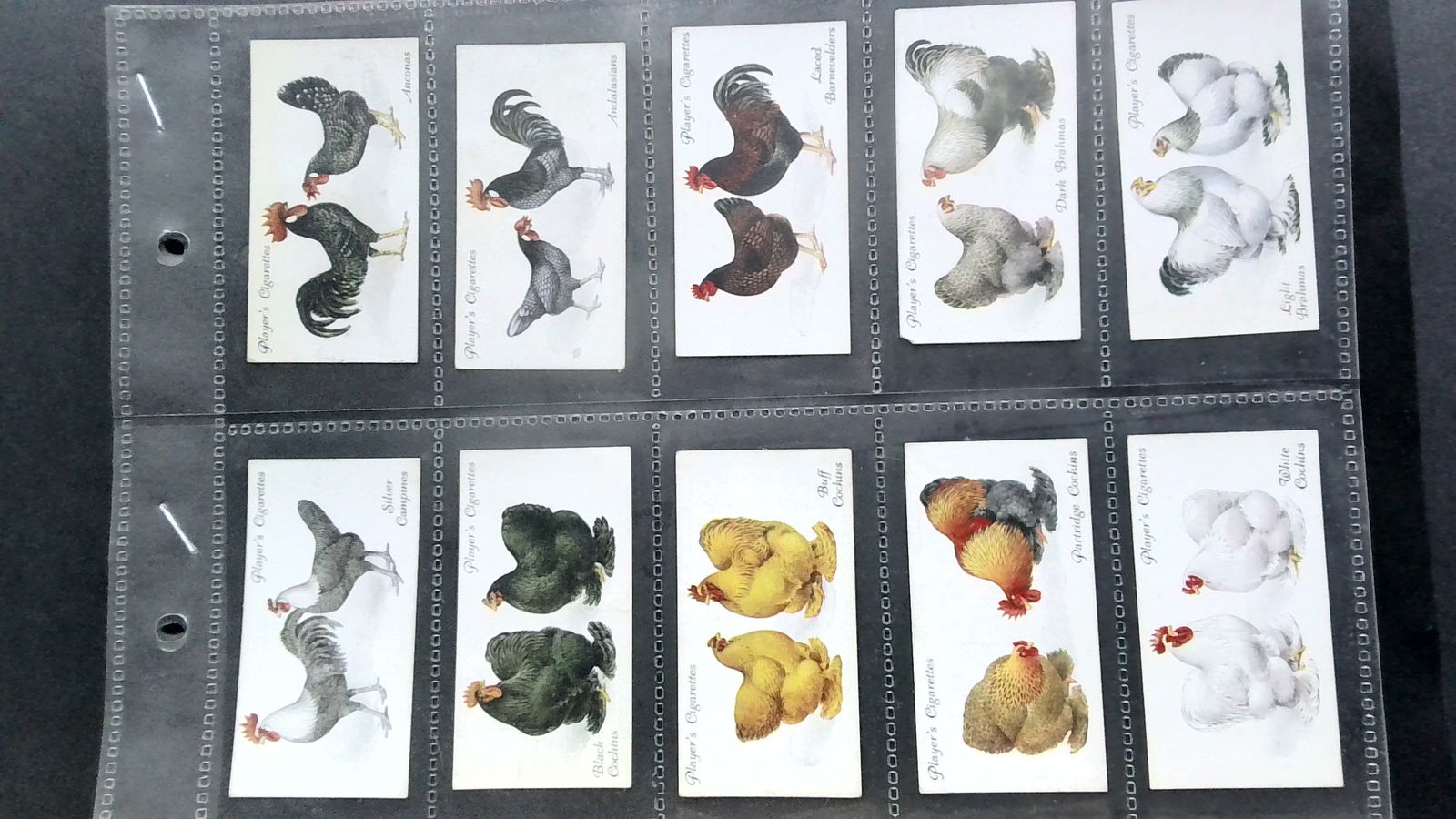 Tobacco cards set 1931 John Player Poultry "a" Series 50 cards (1 of 4)