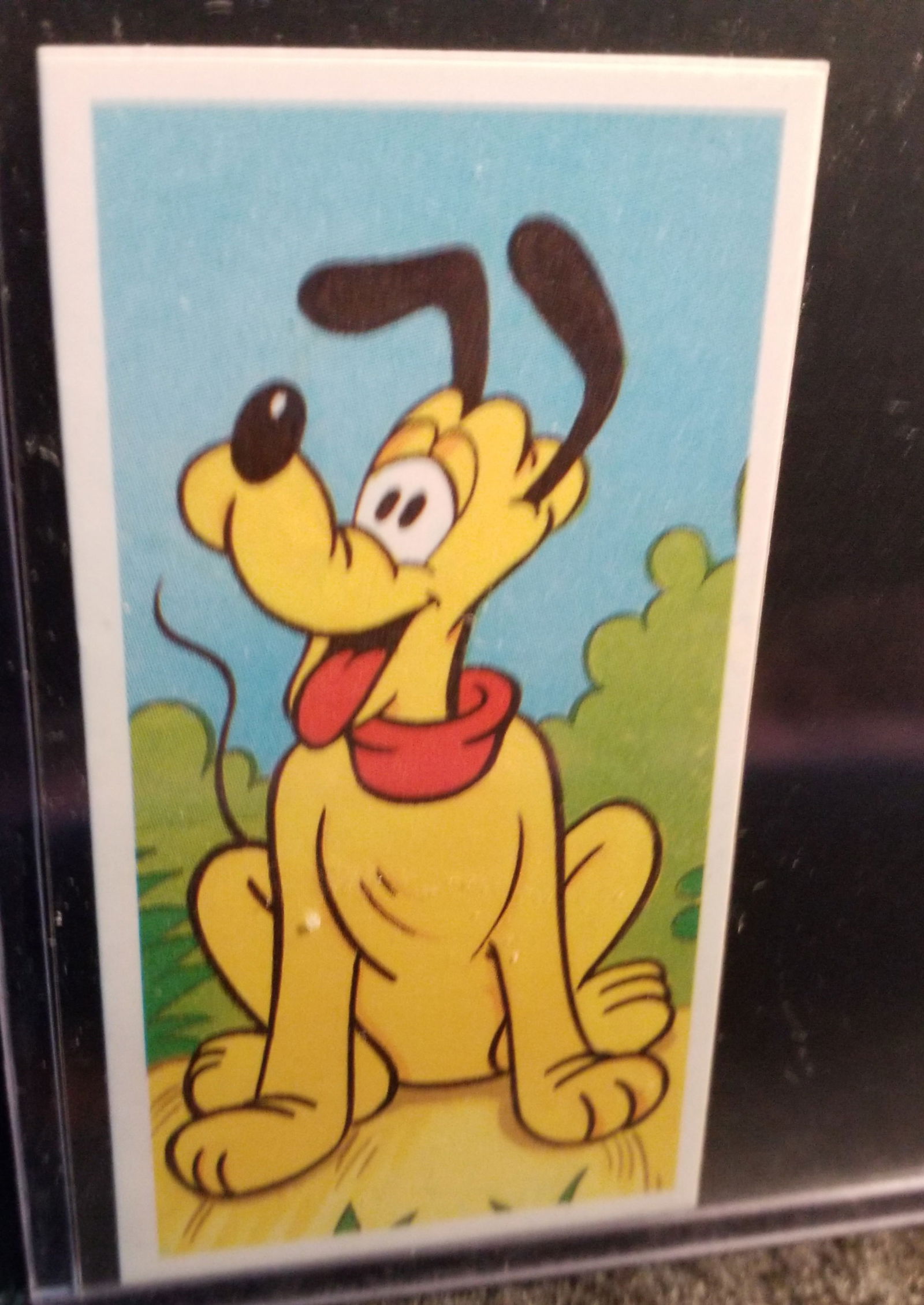 Pluto From the 1970s Brook Bond Disney tea cards set (1 of 2)