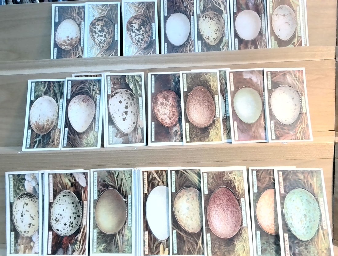 Original Tobacco cards 1923 Ogdens Birds Eggs cut outs Approx 50-60 cards (1 of 2)