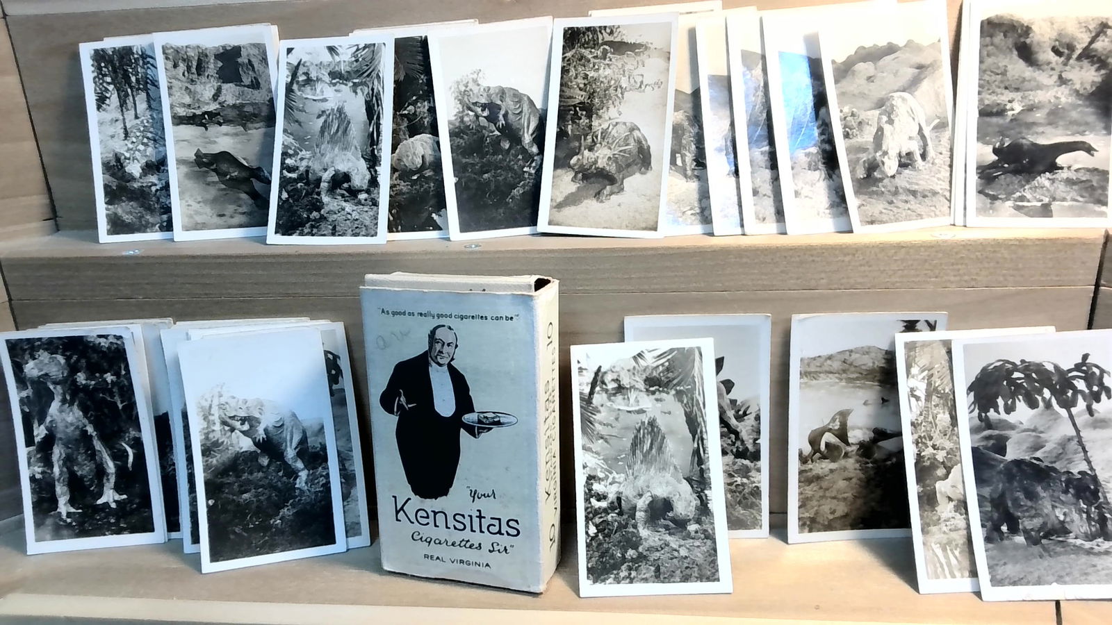 Original Tobacco cards Peeps into Prehistoric Times Real photo Cavanders Box 50 cards (1 of 3)