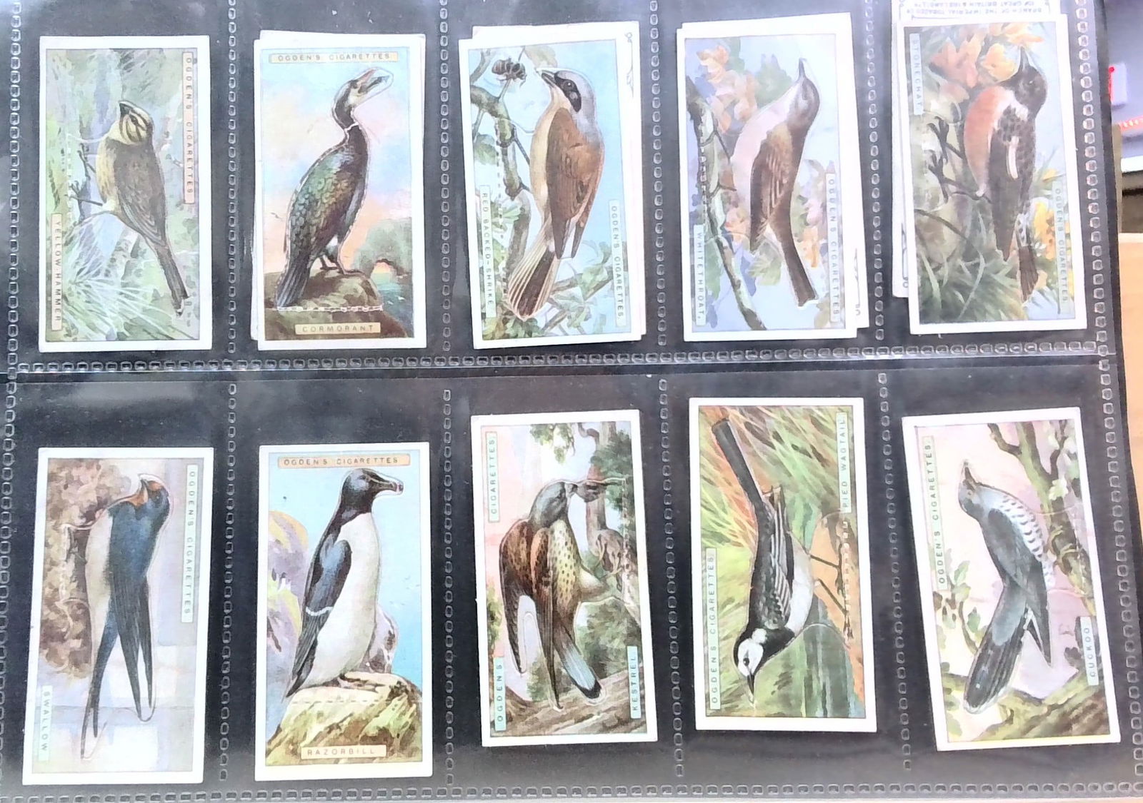 Original Tobacco Cards 1923 British Birds Ogdens Collection of 14 cut out cards: Nice Sheeted lot In protector tobacco cards sheet(s). Begin your tobacco cards collections with us. We will help Start or complete your sets. Many original tobacco cards, sets, singles, collections an
