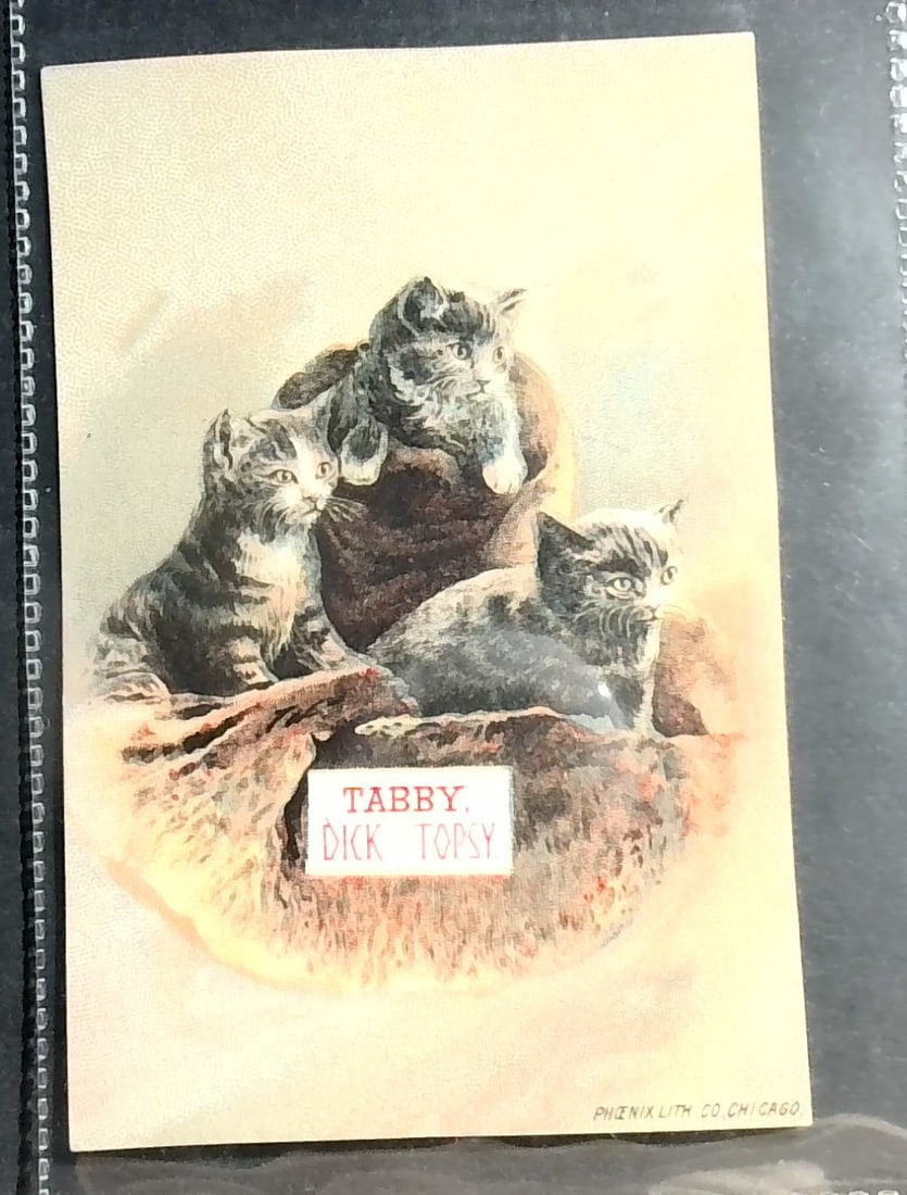 Tabby Dick and Topsy Cats Victorian Era Trade card: Please view pictures below. for content and condition evaluation. Quality Items being added daily to this our current auction. Please continue to check back for latest arrivals to our sale!