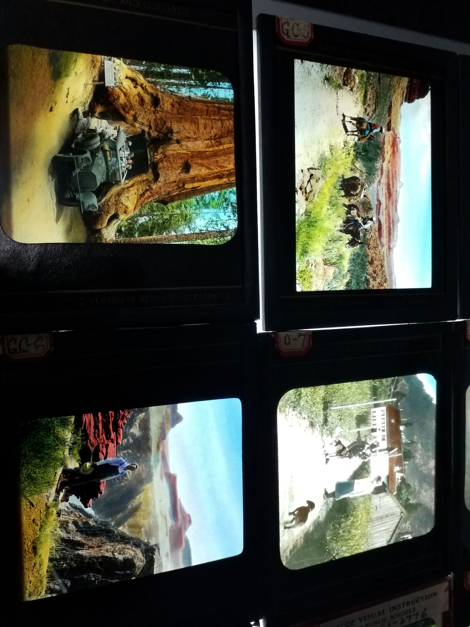 A very nice Lot of 9 Magic Lantern Slides Early Car Drives Through Giant Sequoia Cowboys etc (1 of 3)