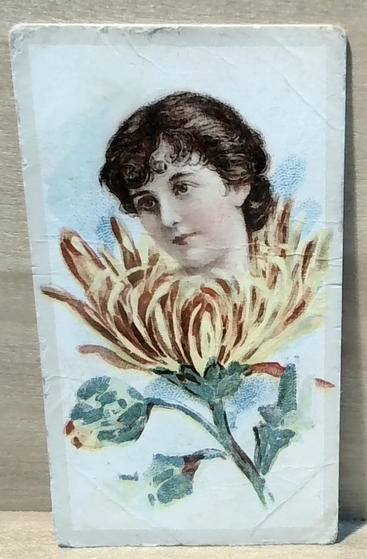 1900 British American Flower Girl Fashion Tobacco Cigarette card: A scarce Beautiful tobacco card single card. VG, Please inspect pictures.