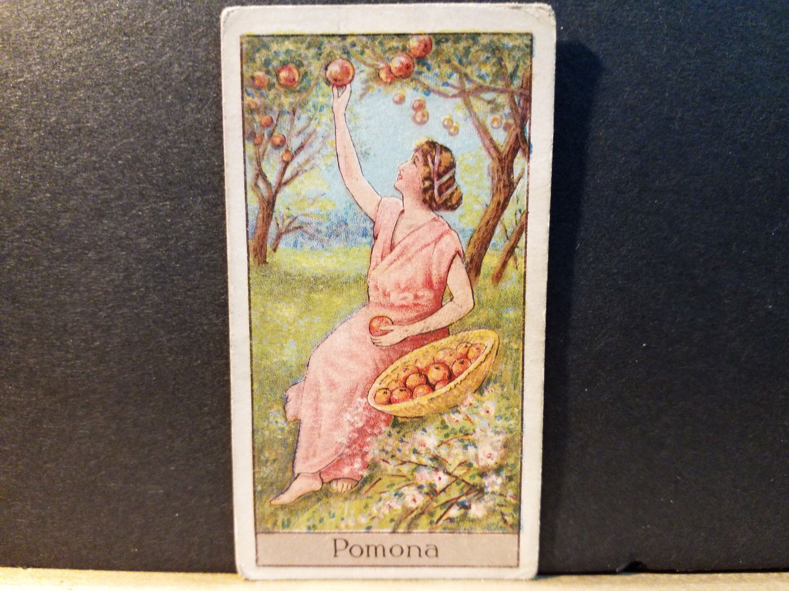 1924 Pomona Mythological Gods and Godesses Turf Alexander Boguslavsky Original tobacco card: Many other tobacco cards available. Card comes in sleeve and top loader. Please inspect pictures, Items being added to our sale Daily.