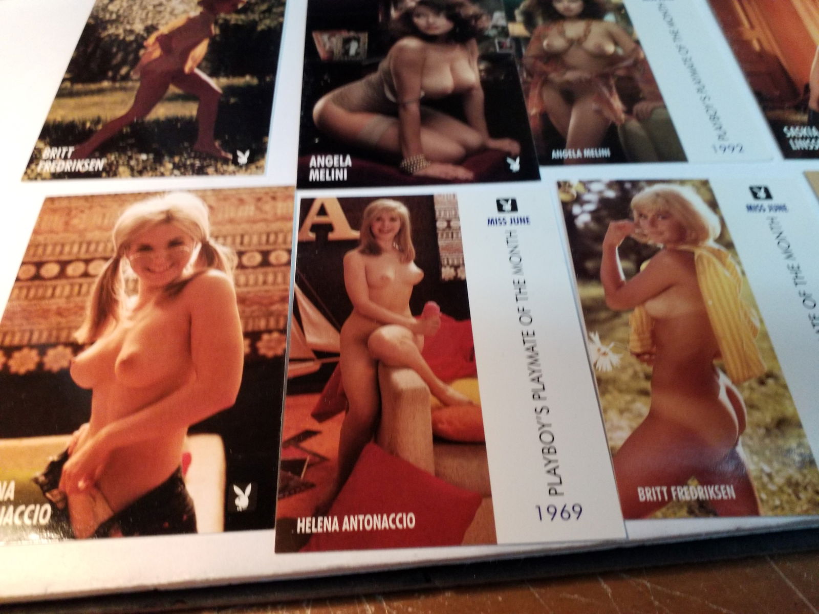 A nice Collection of Playboy's Playmate of the Month Cards NM-M adult: Adult, A Collection of approx. 25 cards NM-M Pamela Anderson Playboy Nudes Cards, Approx 75 Cards
