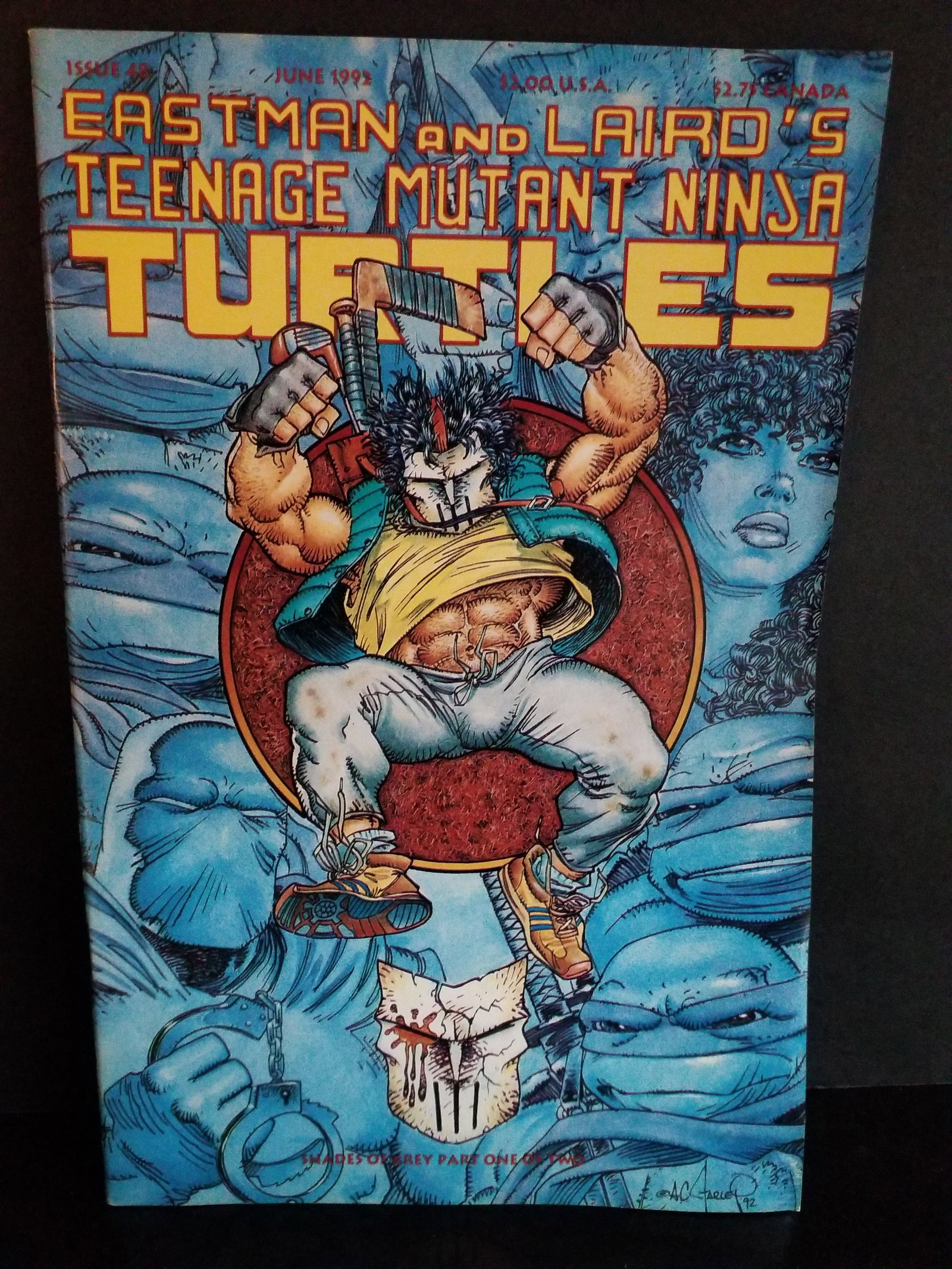 1992 MIRAGE STUDIOS Teenage Mutant Ninja Turtles #48 CASEY JONES COVER VF+-NM (1 of 2)