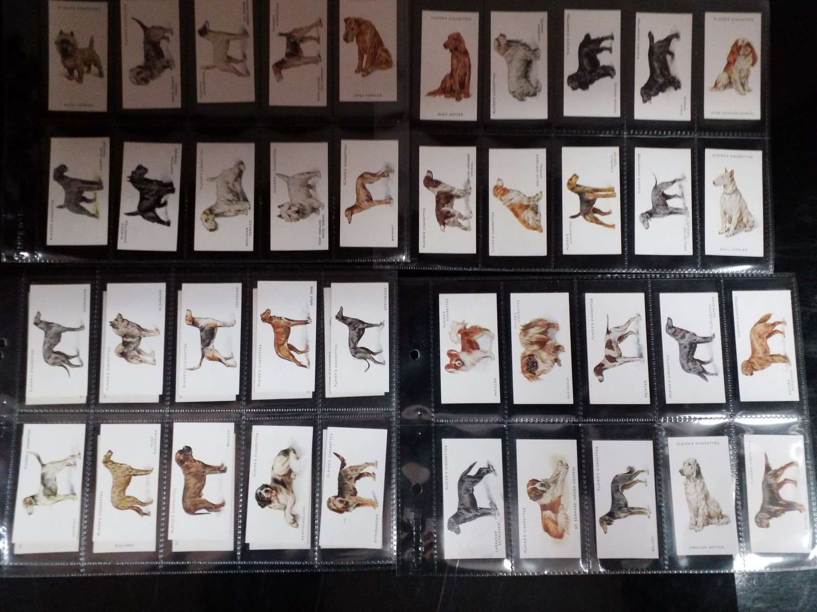 1938 Original Tobacco Cards CIGARETTE CARDS Player Tobacco DOGS complete set of 50 cardds (1 of 4)