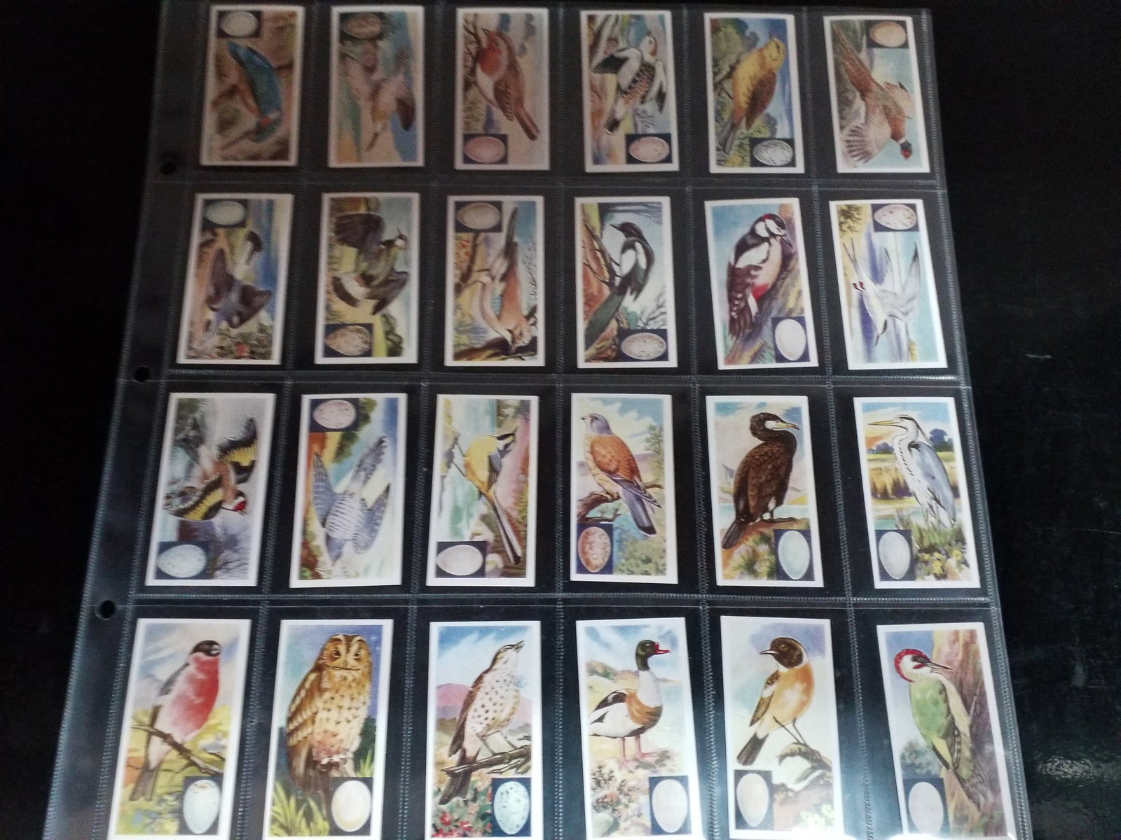 Barratt BIRDS 1960 Complete Original 25 cards Confectionary Gum Cards Set - 2 Barratt BIRDS 1960 Com: Original Complete sheeted set. In protector tobacco cards sheets. In very good condition, Please view pictures below. Many More sets being added to this our current sale. Many Items being added daily